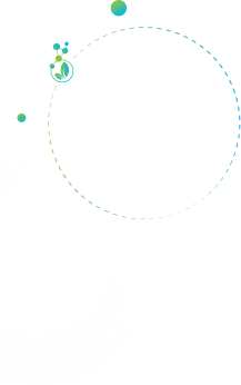 shape